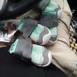 Dog Shoes