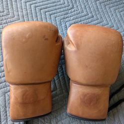 Boxing Gloves Lace Up (MVP) 14OZ