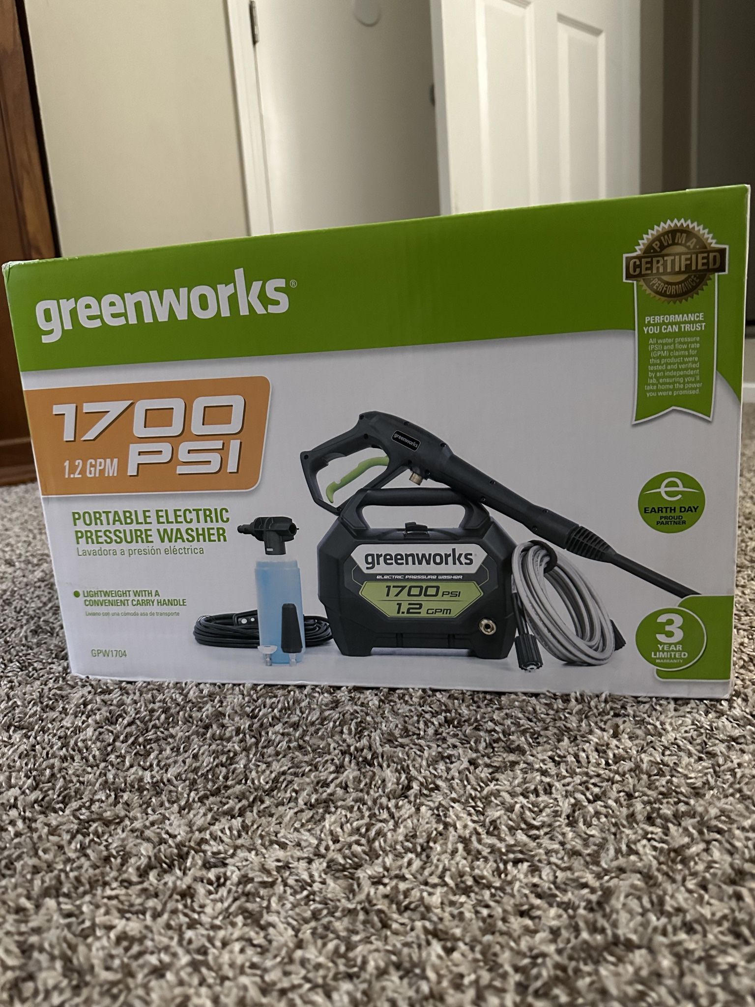 Greenworks Pressure Washer