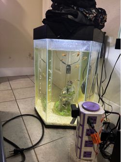 20 gallon tank and 20 gallon hexagon tank