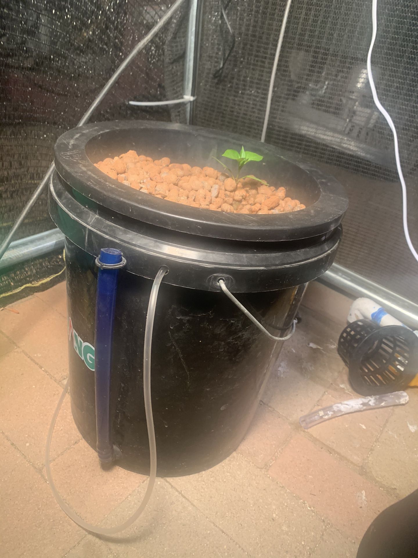 Hydroponic Bucket with drain and water level whose