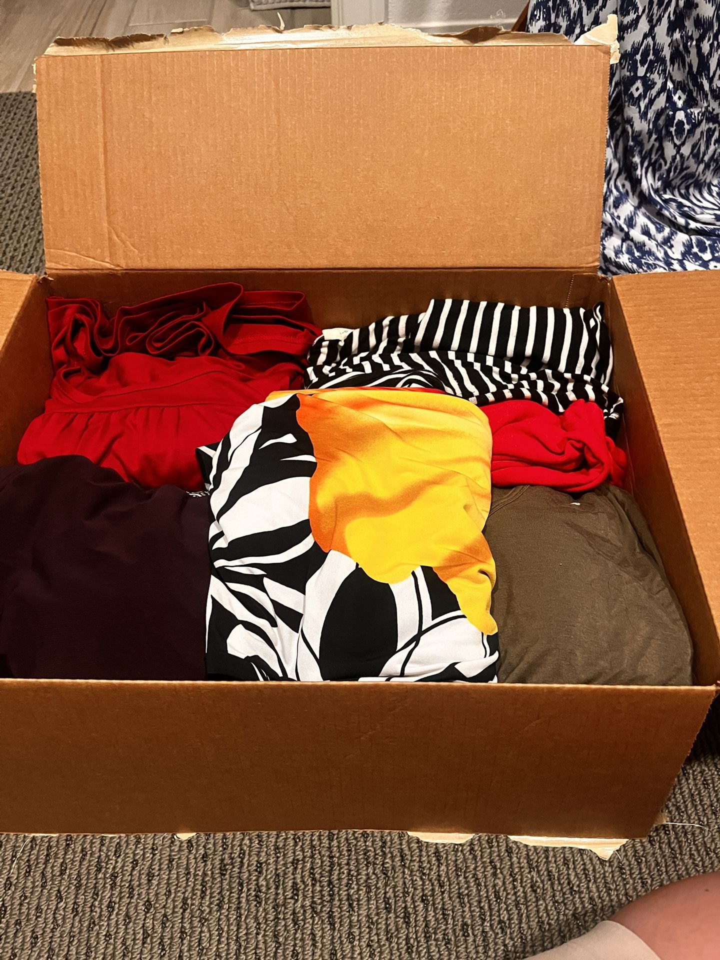 Women’s Clothing