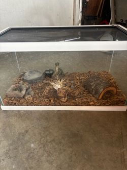 20 gallon tank