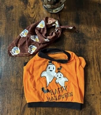 Dog Size Small Halloween Costume just $5 xox