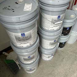 Promar Ceiling Paint