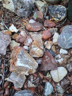 Crystals ,semi precious gemstones.\nPetrified wood etc