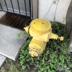  Ty Fire hydrant 