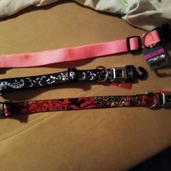 Brand New Buckle Down Dog Collar And New Petwear Collar