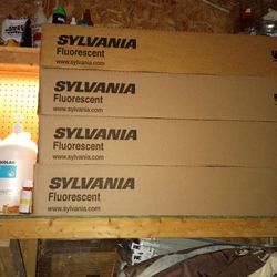 Sylvania Florescent Bulbs 100ct