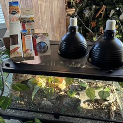 40 Gallon Reptile Tank + Accessories (Excellent Condition)