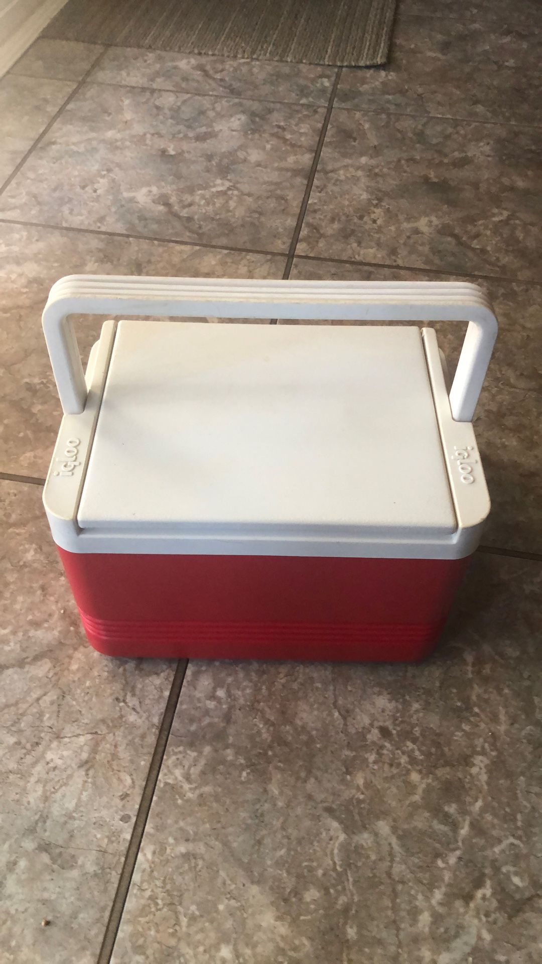Igloo Cooler Small