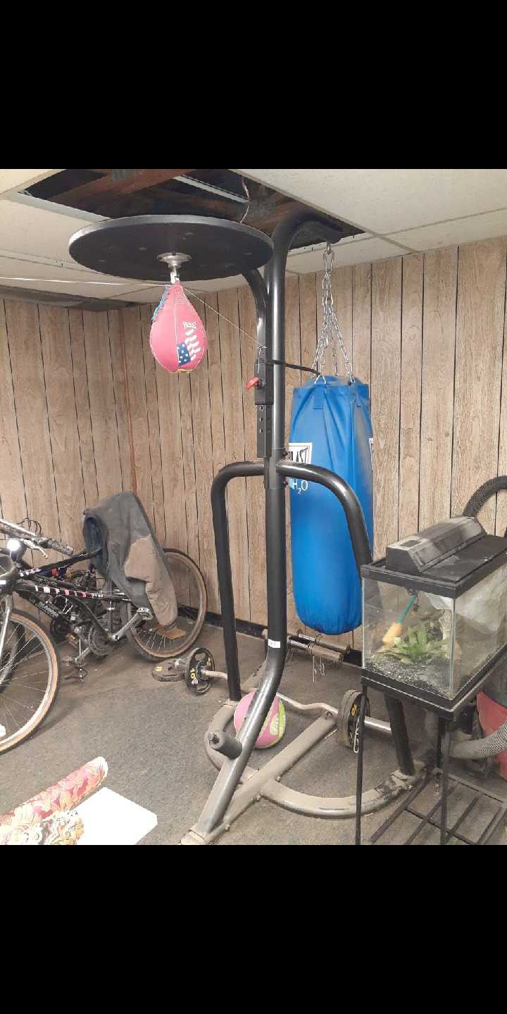 Bag - speed bag and stand