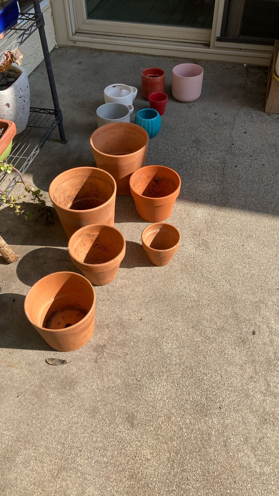 Plant Pots
