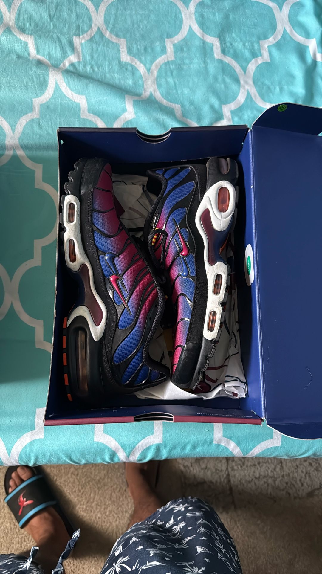 Nike Air Max Plus