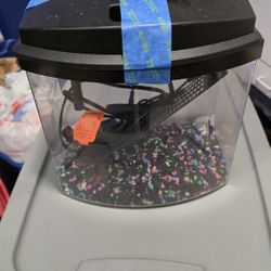 2.5 Gallon Aquarium Betta Or Goldfish