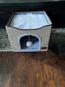 Cat cube and more