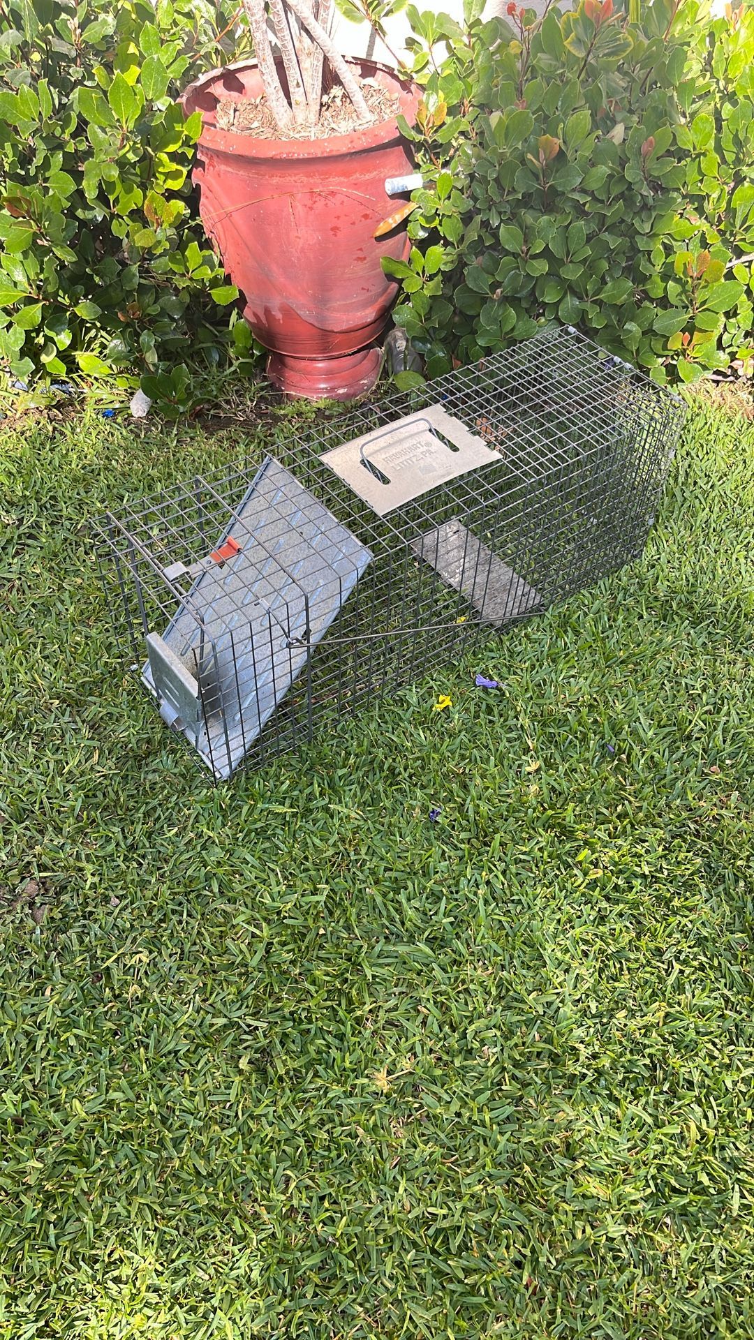 Cage