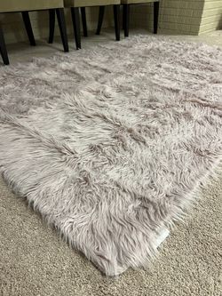 New Area Rug 5 X 7 