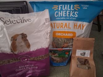 Guinea pig food