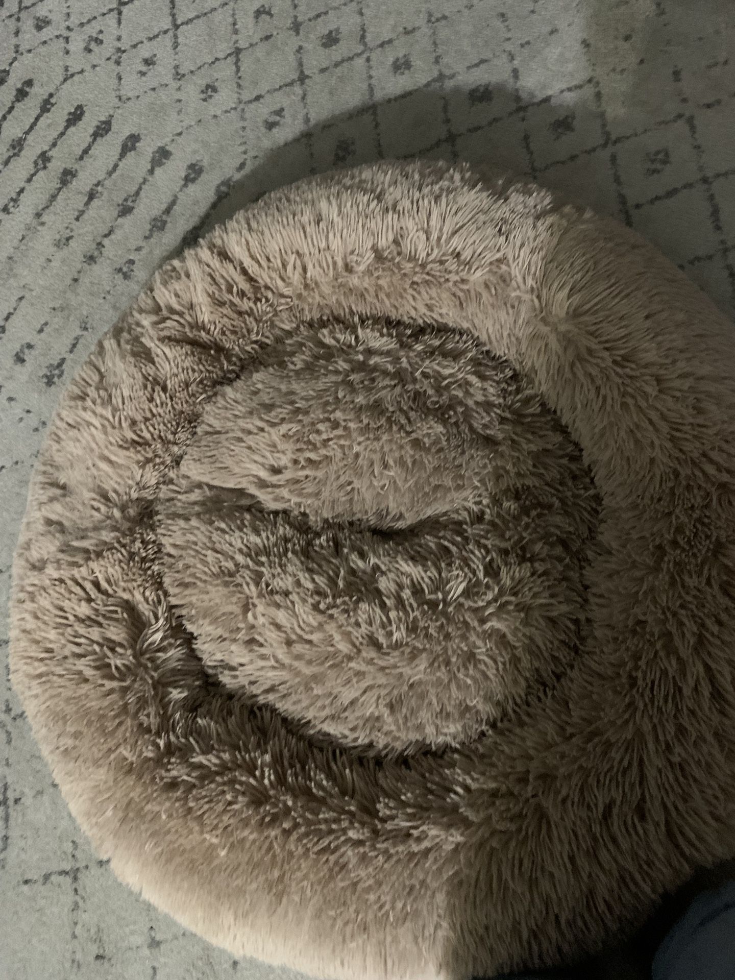 Big Pet Bed Used A Few Times