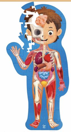 Human body puzzle