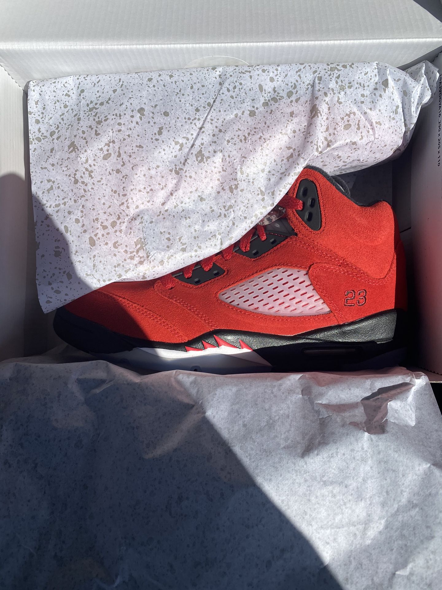 Raging Bull 5