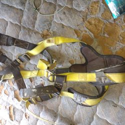Universal Full body  SafetyHarness