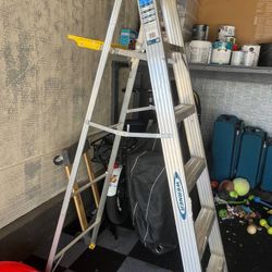 Werner 6 Ft Aluminum Step Ladder