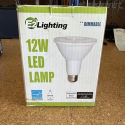 12 Watt Dimmable LED Bulbs (5 total)