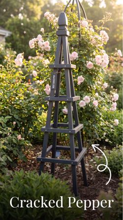 Brand New Obelisk (Trellis)