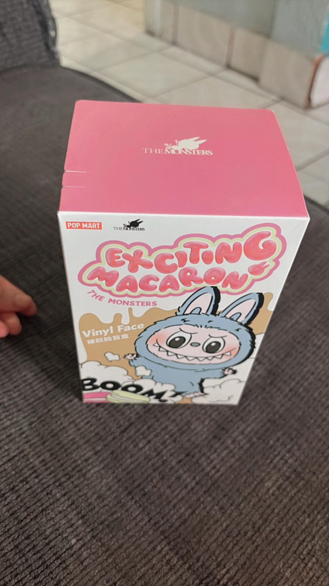 Labubu Secret Have A Seat And Macaron