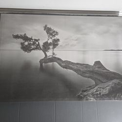 Posters Coastal Wall Art Black And White Landscape Wall Art Nature Black Water Tree Decoration Decorative Painting Canvas Wall Posters And Art Picture