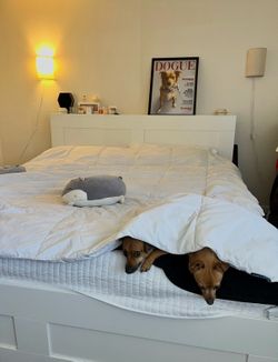King Size White Bed Frame