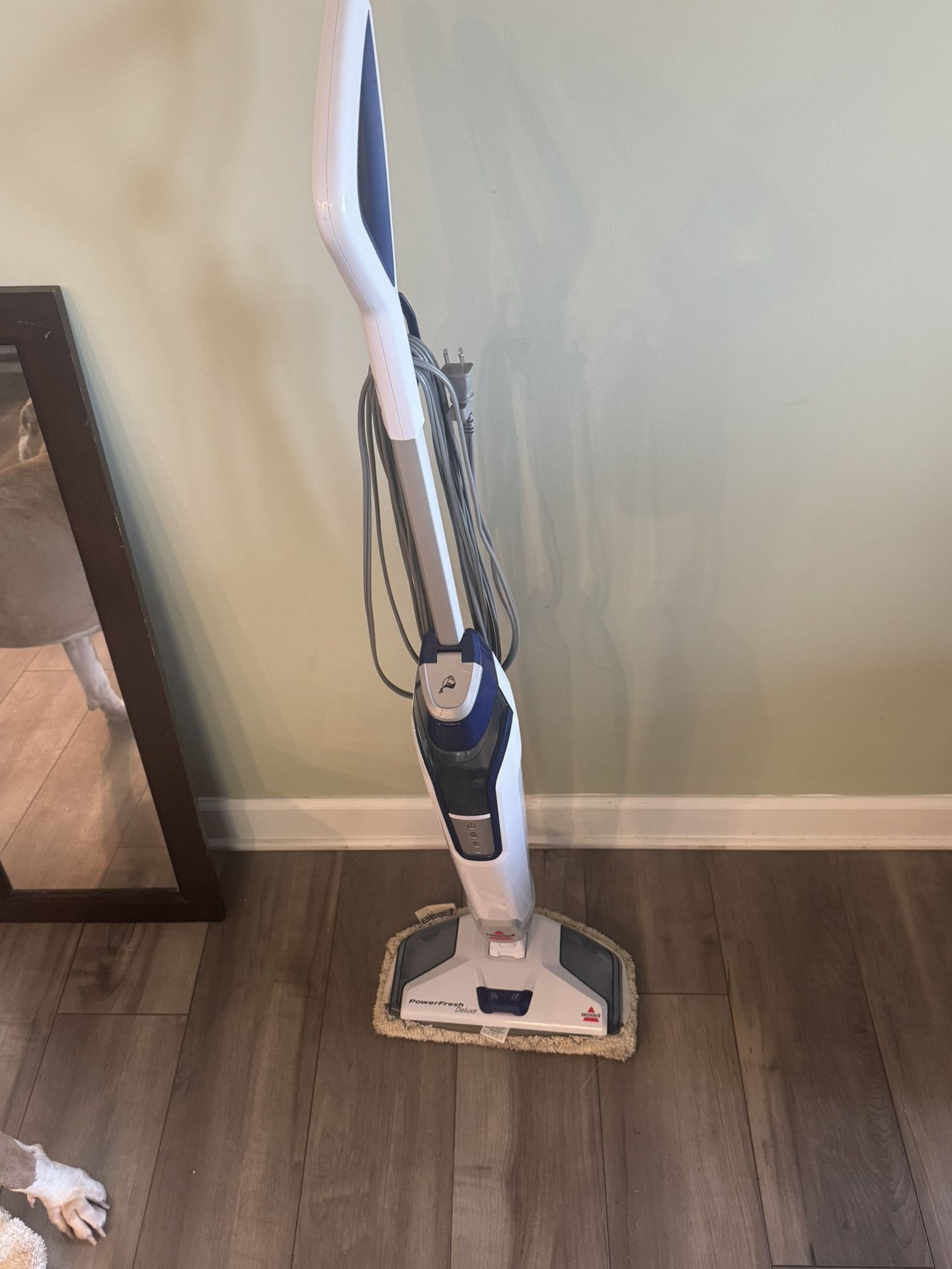 Bissell Steam Mop