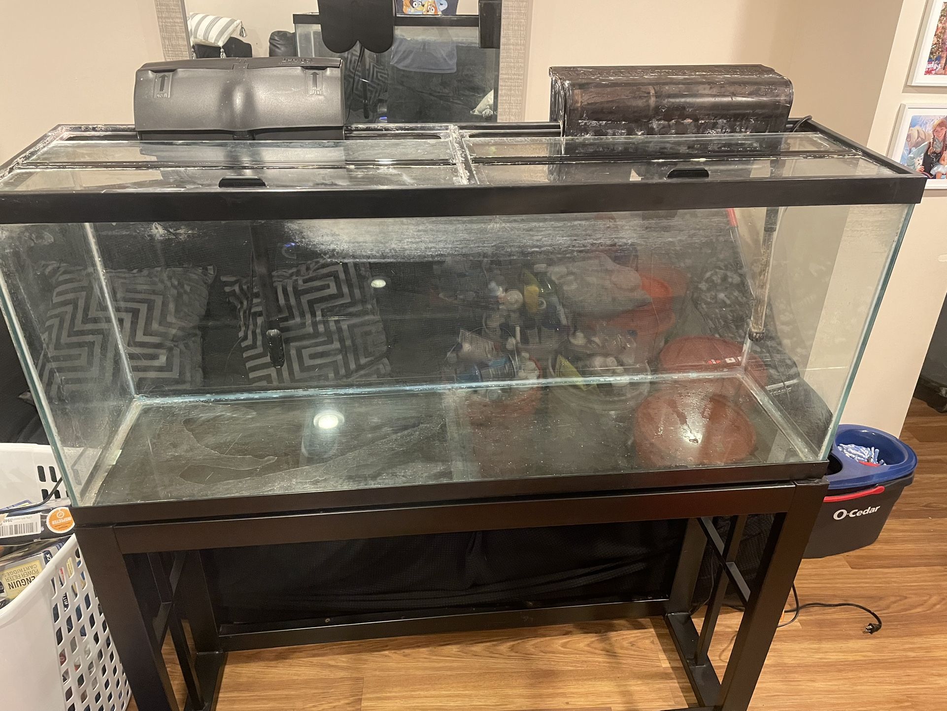 55 Gallon Aquarium Set