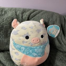 Rosie the Pig Squishmallow 