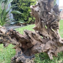 L:24” W:14” H:17” Ex Large Decorative Aquarium Driftwood - Unique Curated Hardscape for Planted Tank