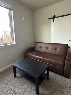 Brown soft cushion pull out couch