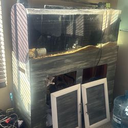 55 Gallon fish Tank 