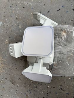 Motion detector light