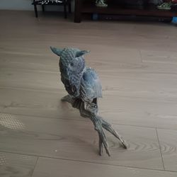 Tecolote