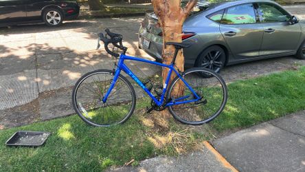 Mid 2010’s Carbon Fiber Trek Road Bicycle