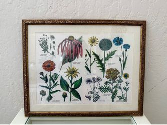 Framed Nature Art Print