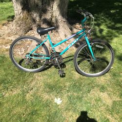 24” Giant Mountain Bike (new Tires)