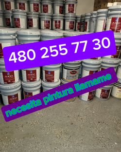 Paint