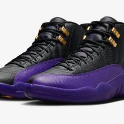 Jordan 12 purple 
