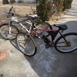 3 Mountain Bikes 