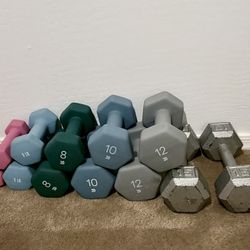 Dumbbells (106lbs)