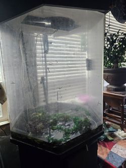 75 gallon fish tank tall