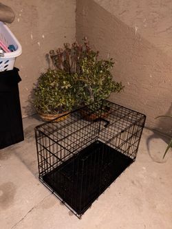 Dog crate